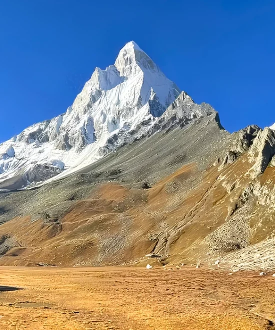 Gaumukh Tapovan Trek