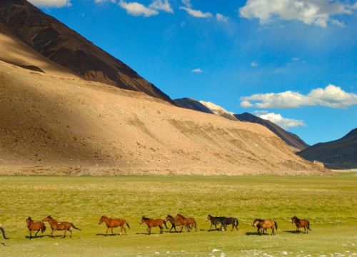 Manali to Leh - Ladakh