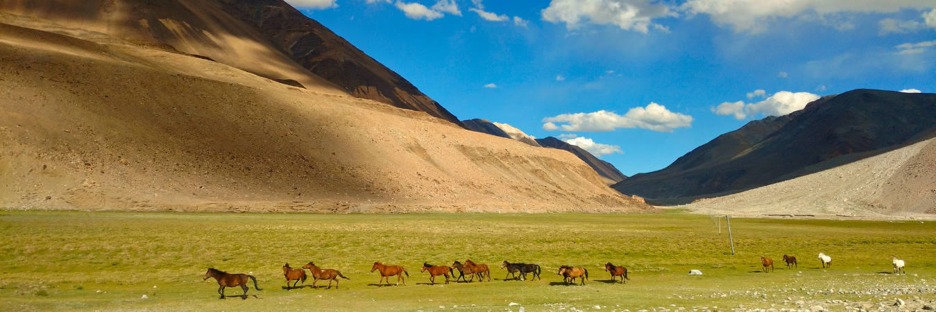 Manali to Leh - Ladakh