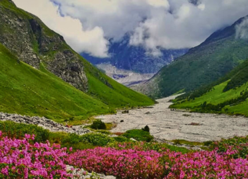 Valley Of Flowers Trek