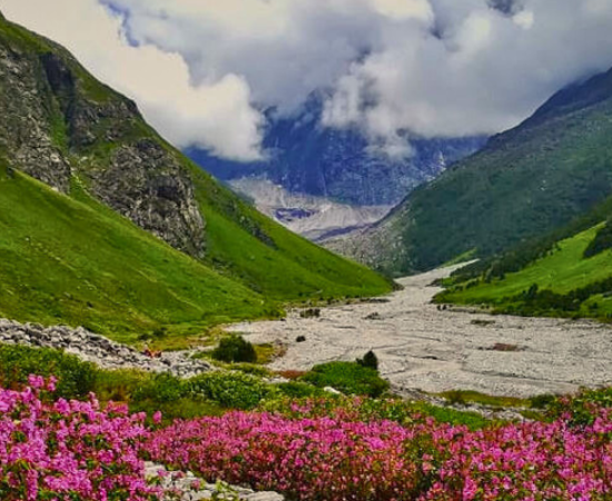 Valley Of Flowers Trek