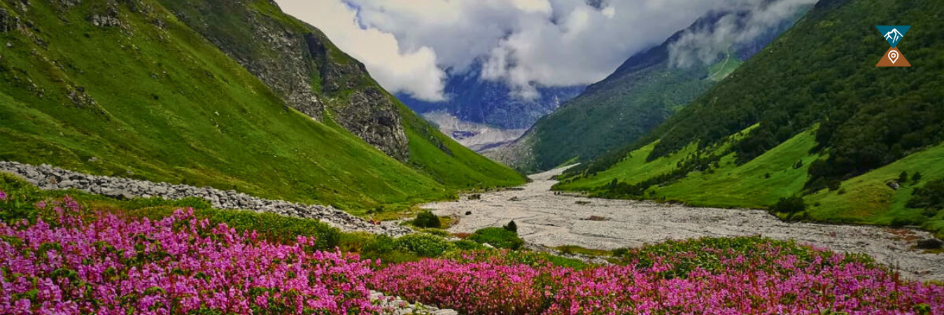 Valley Of Flowers Trek