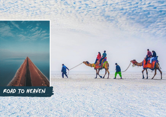 Rann of Kutch Tour