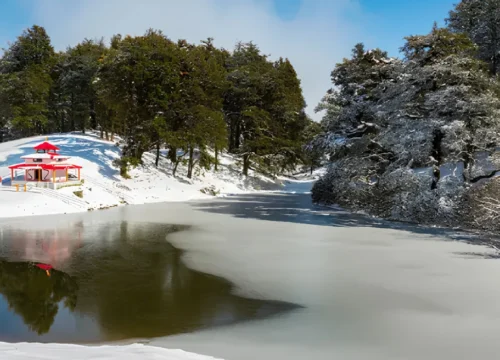 Dayara Bugyal Trek