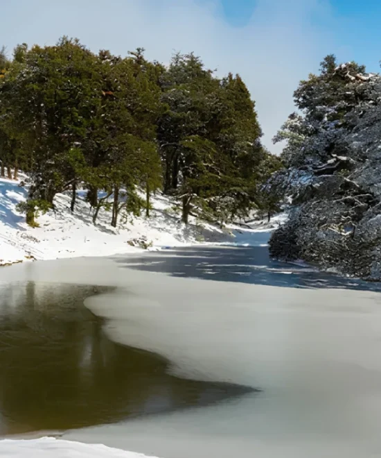 Dayara Bugyal Trek