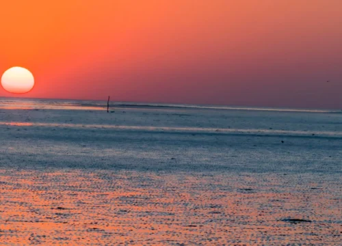 Rann of Kutch Tour