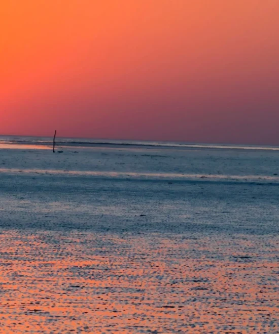 Rann of Kutch Tour
