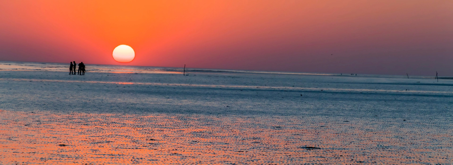 Rann of Kutch Tour