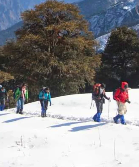 Kuari Pass Trek