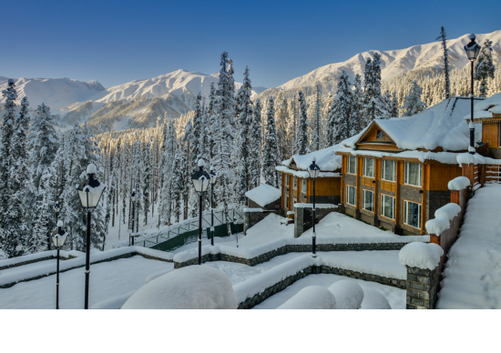 Winter Kashmir Trip