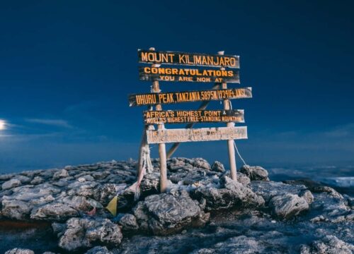 Mt Kilimanjaro Expedition