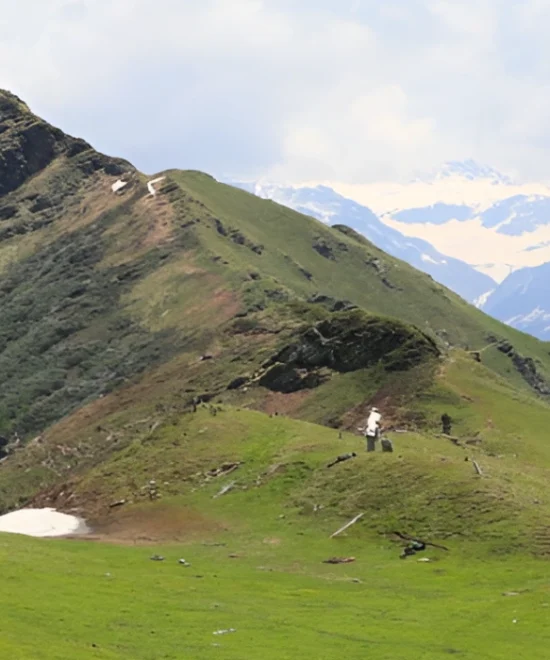 Chandrakhani Pass